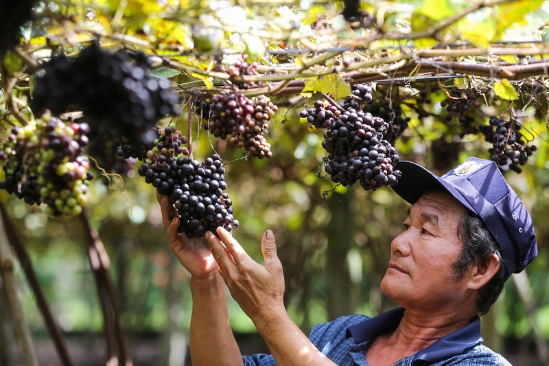 Top 25 Điểm Du Lịch Tây Ninh Đẹp Được Giới Trẻ Săn Đón!